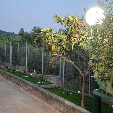 펜션 Elion - Ionian Olive House - Sea View 자하로