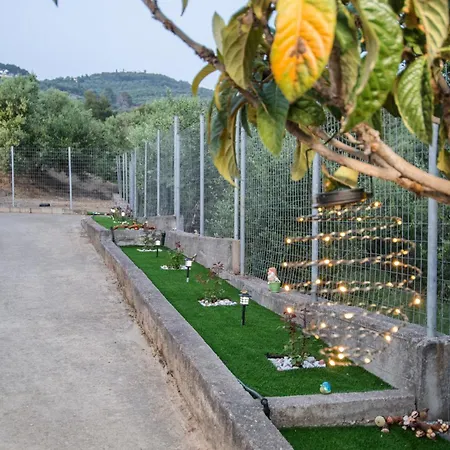 펜션 Elion - Ionian Olive House - Sea View *